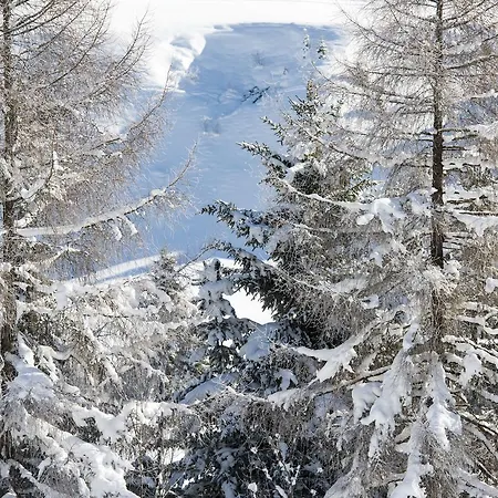 Nidus Luxury Lejlighed