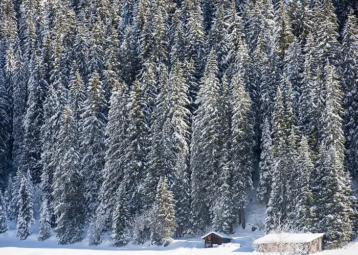 Nidus Luxury * Lech am Arlberg